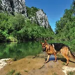 Awesome Home In Zezevica With Sauna * Zezevica